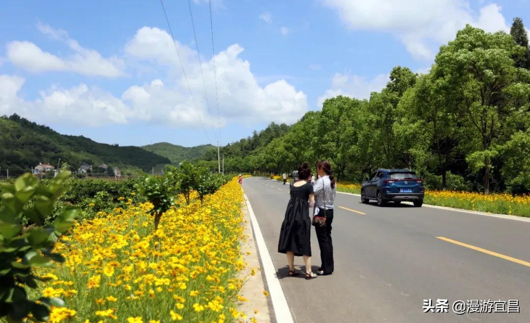 宜昌最美爱情公路,湖北宜昌最美318国道