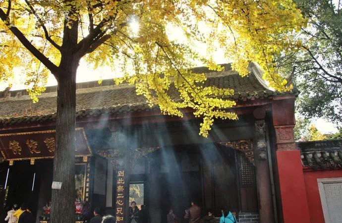 成都是诗意的城市,成都是一个充满诗情画意的城市