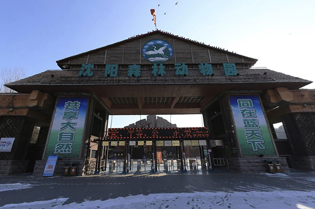 沈阳亲子游必去景点有哪些地方,沈阳适合亲子游的地方推荐一下