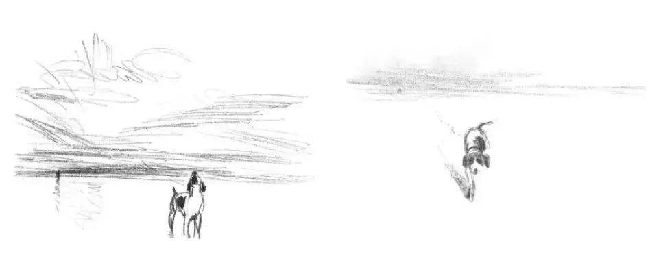 20本狗狗绘本推荐,狗狗绘本阅读