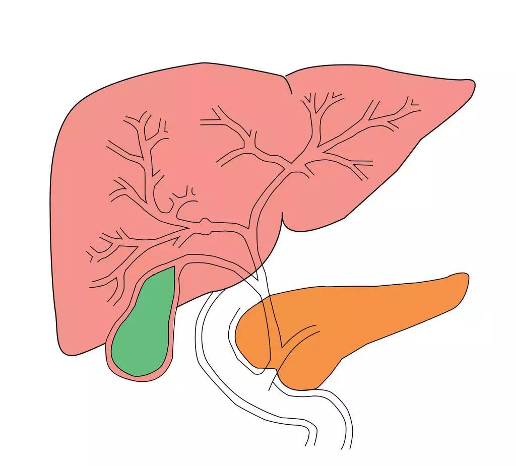 干扰素为什么对病毒有效,干扰素为什么是一把双刃剑