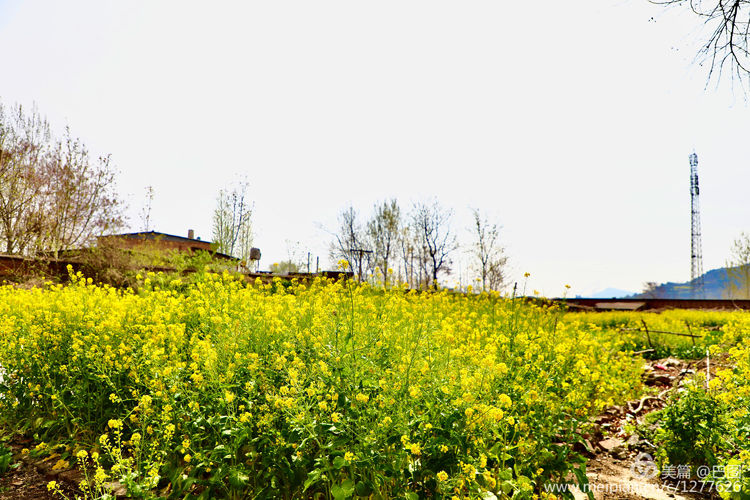 曾经的新安小香港,今日物是人非,探访洛阳水泥厂工人村