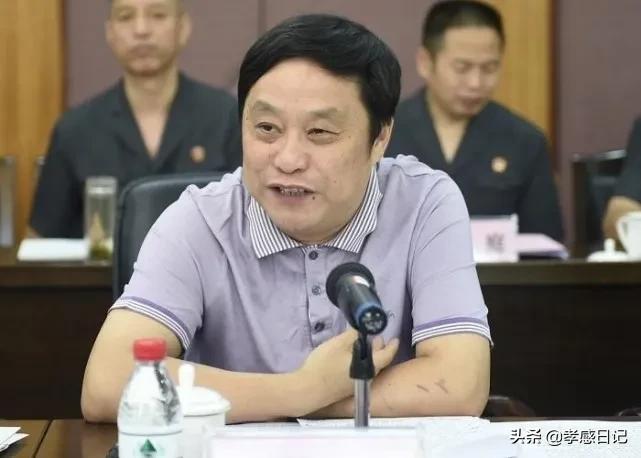 孝感最有钱的10个人,孝感十大有钱人