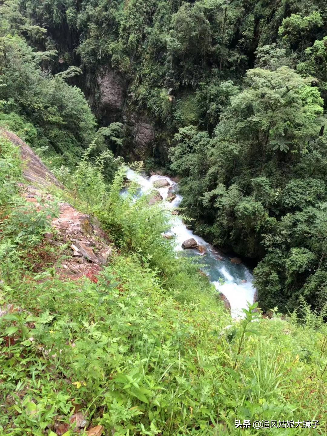 穿越到原始森林里面,穿越原始森林来种田