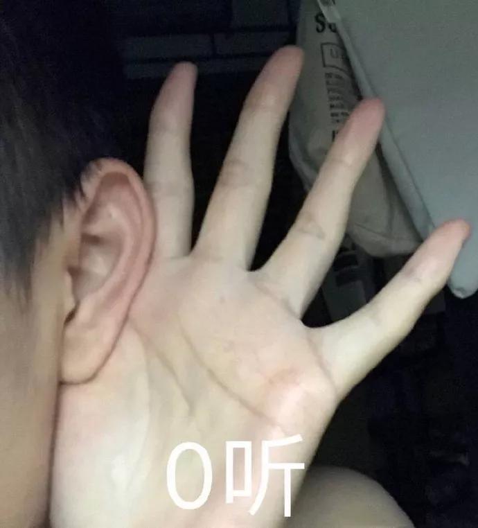 长在树上的鸡蛋果图片,长在树上的鸡蛋