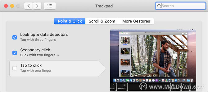 电脑打字光标乱跳怎么解决,苹果打字光标乱跳