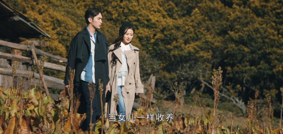 司藤中秦放是什么身世,司藤中的秦放到底是什么身份