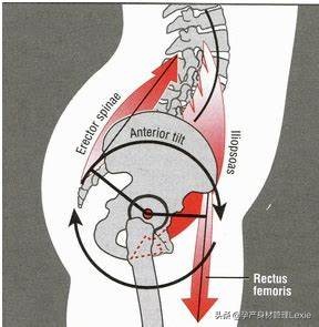 孕晚期纠正骨盆前倾最佳方法,孕妇骨盆前倾训练动作