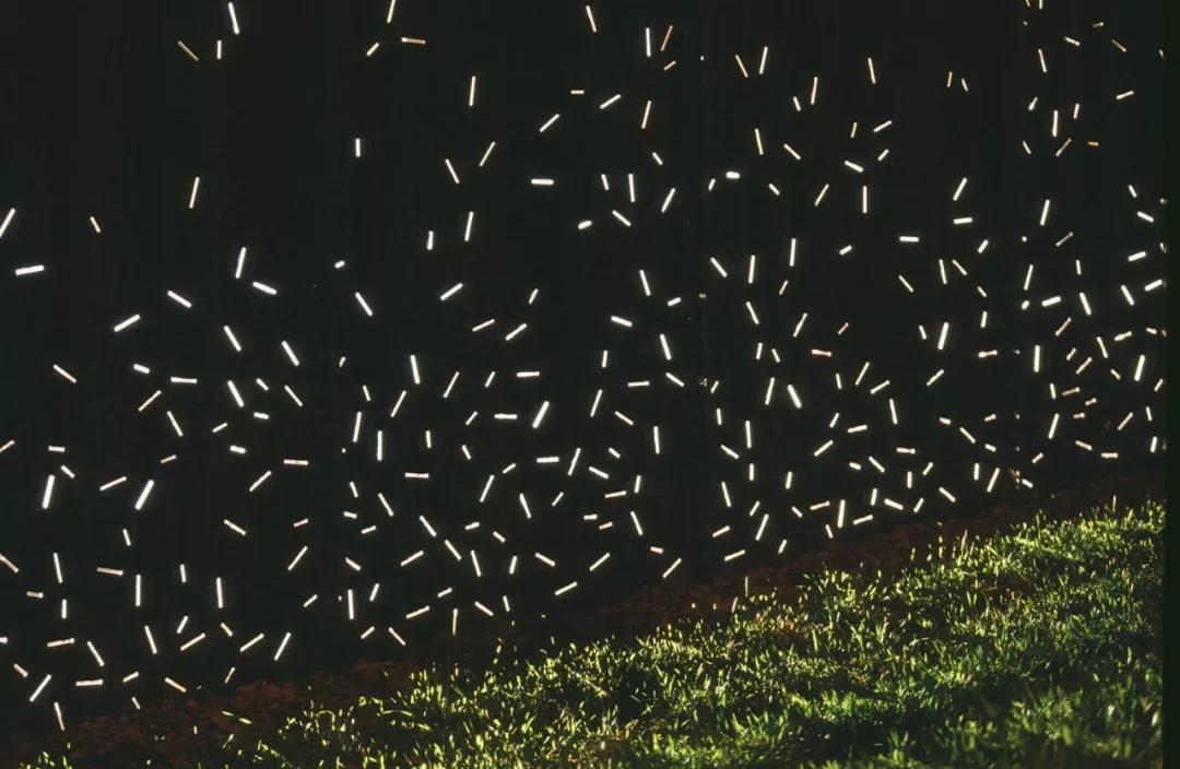 农村小院围墙设计花式围墙,围墙的设计效果图大全集