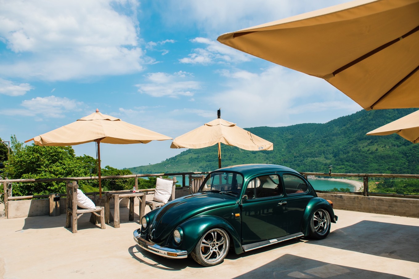 度假的袋鼠,青岛旅行的袋鼠