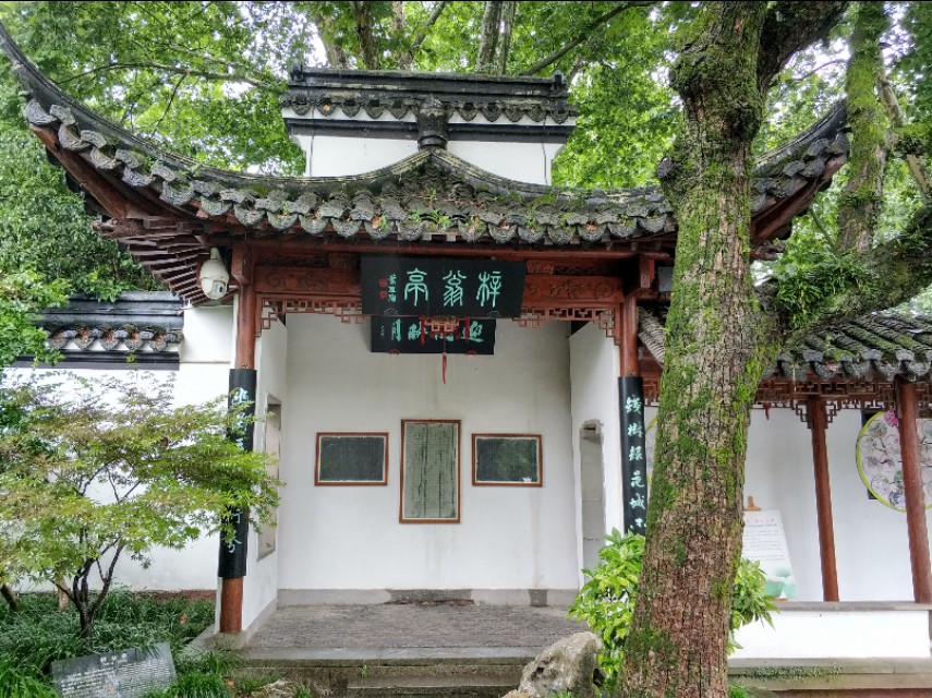 杭州西湖景点郭庄视频,杭州郭庄园林