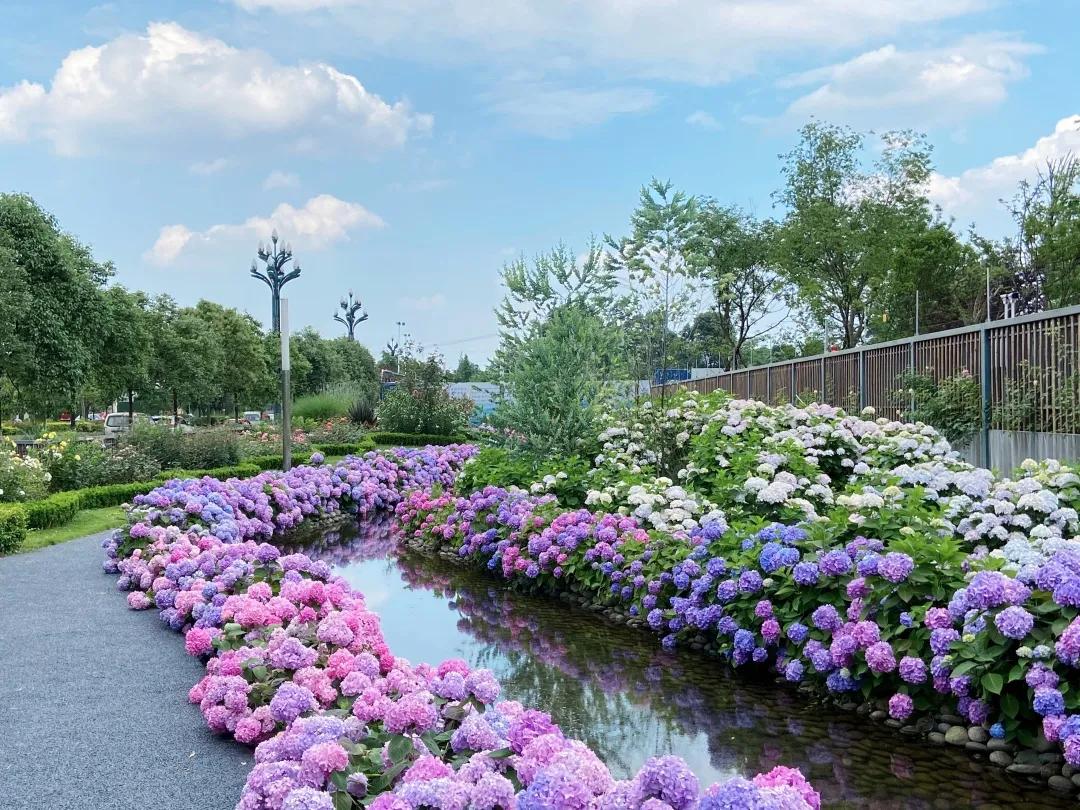 芬兰教育培训模式,芬兰教育如何走下神坛