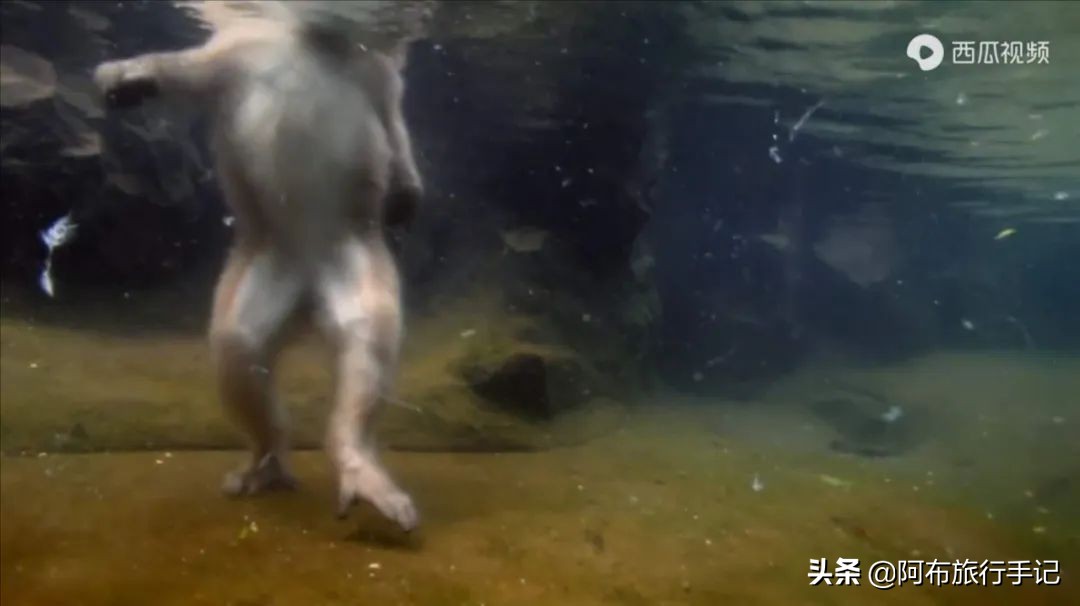 豆瓣9.1分，看过不足1500人，我却复盘了张日本最全野游图