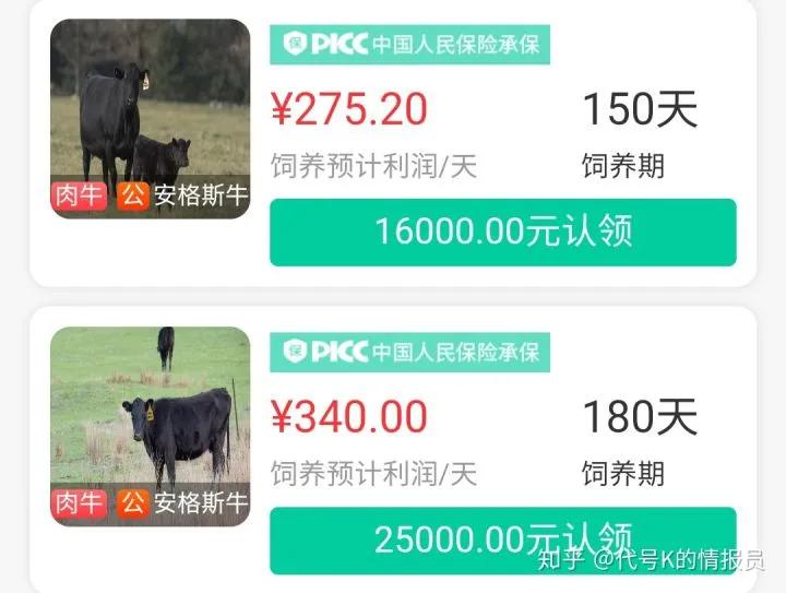 云养殖盈利渠道,互联网云养殖项目