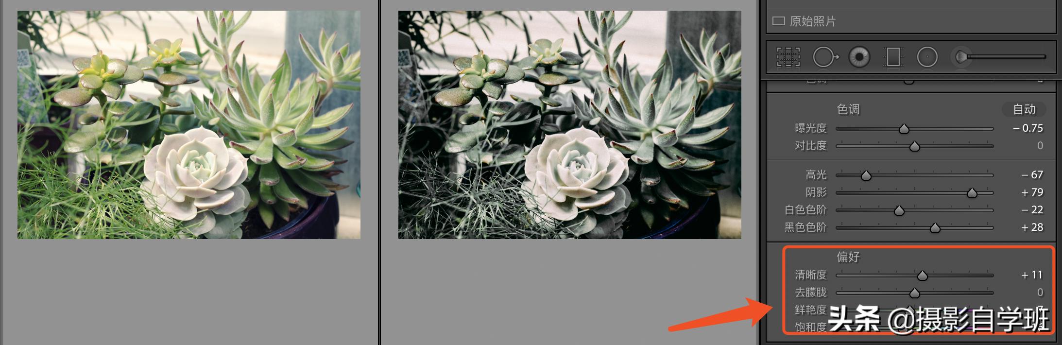 灰色显高级发色,高级灰风格照片的特点和调色方法