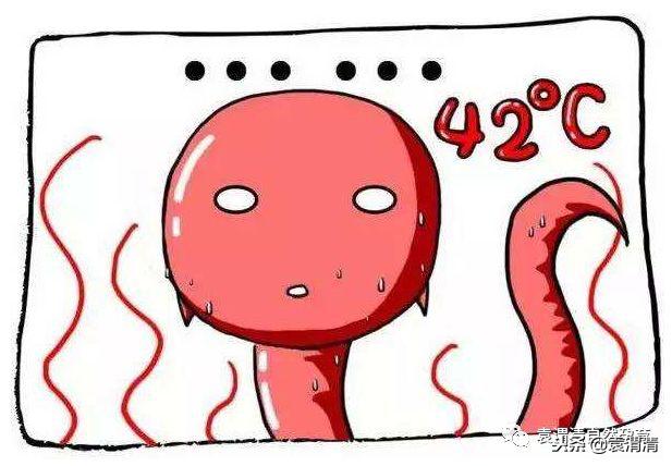 精子的十三种死法