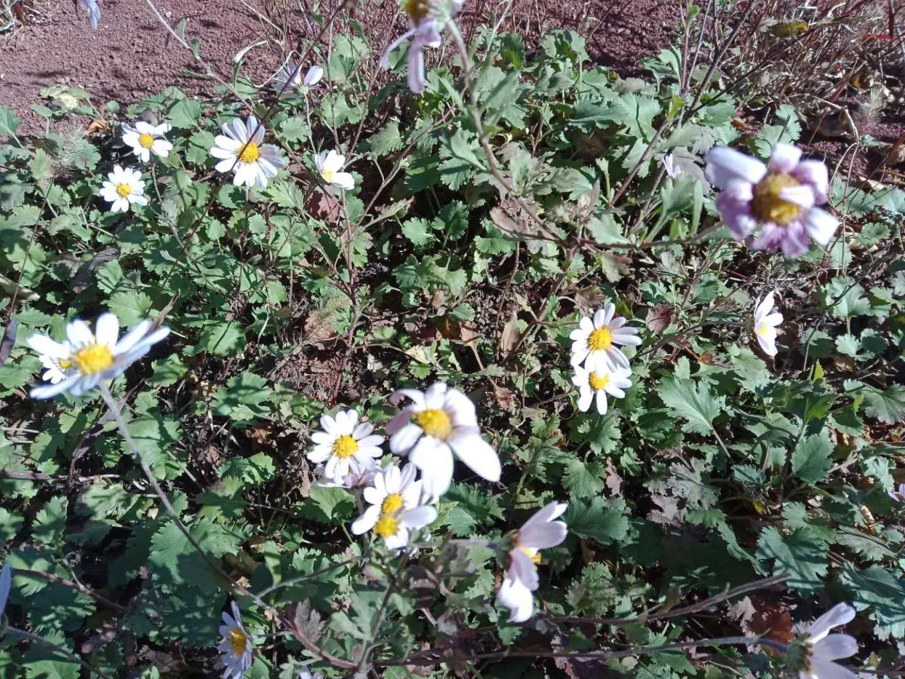 碧岩龙泉山庄,万柏林龙泉山庄