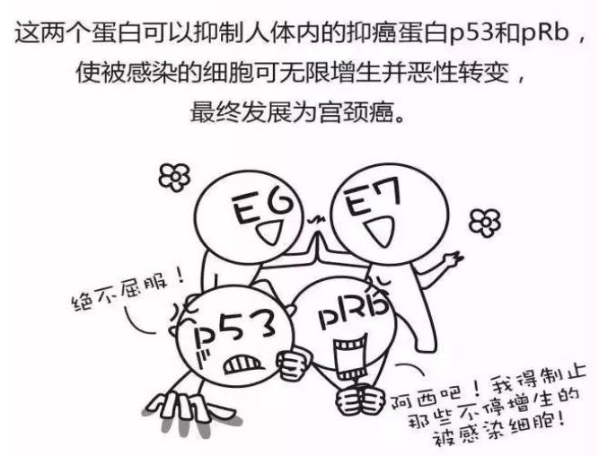 打了宫颈癌疫苗还会感染hpv吗,宫颈癌疫苗要做什么检查才能打吗