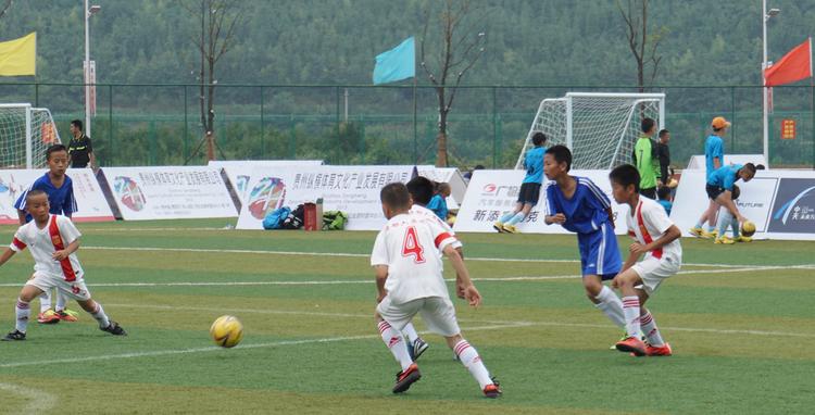 专家引领成长,专家引领阅读促进教师专业成长