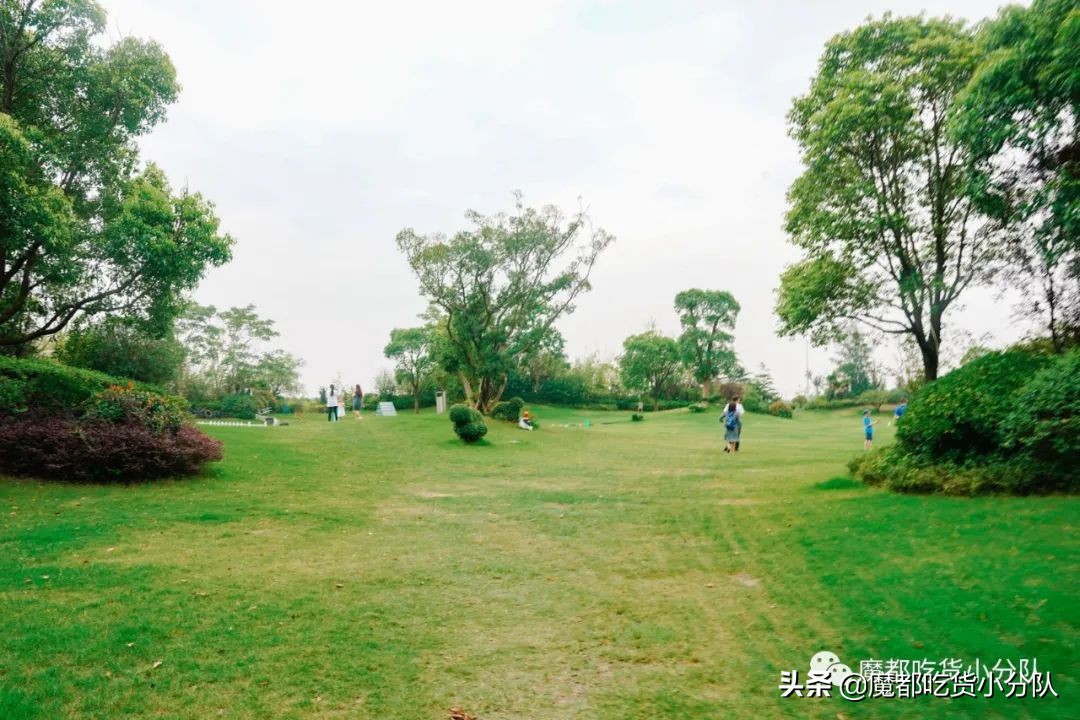 崇明岛地理位置独特,崇明岛过度开发