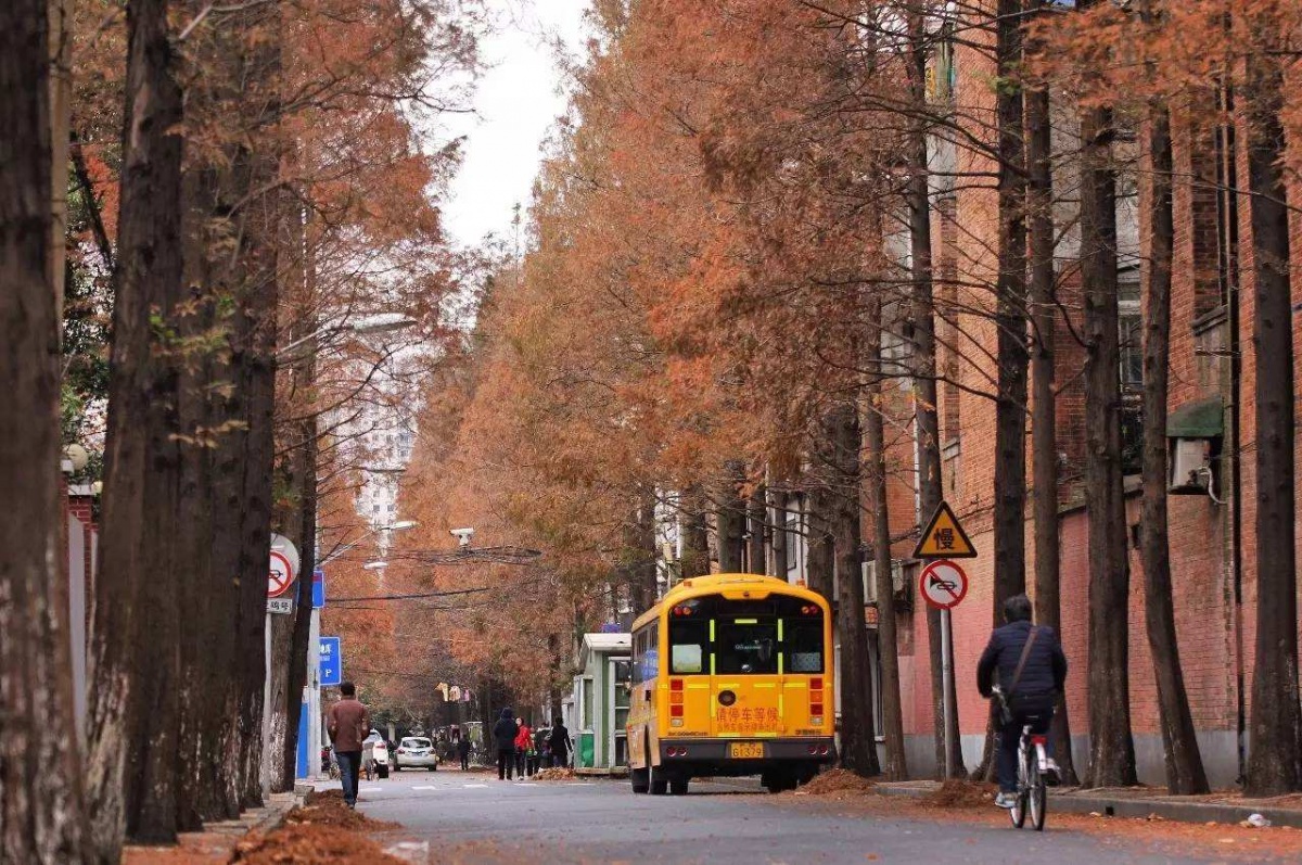 上海16区介绍有闸北吗,上海16个区高清地图