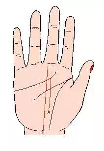 手相解密,手相掌纹分析学