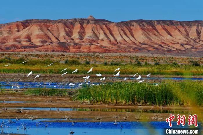 今日白露秋意渐浓,今日白露美句美文