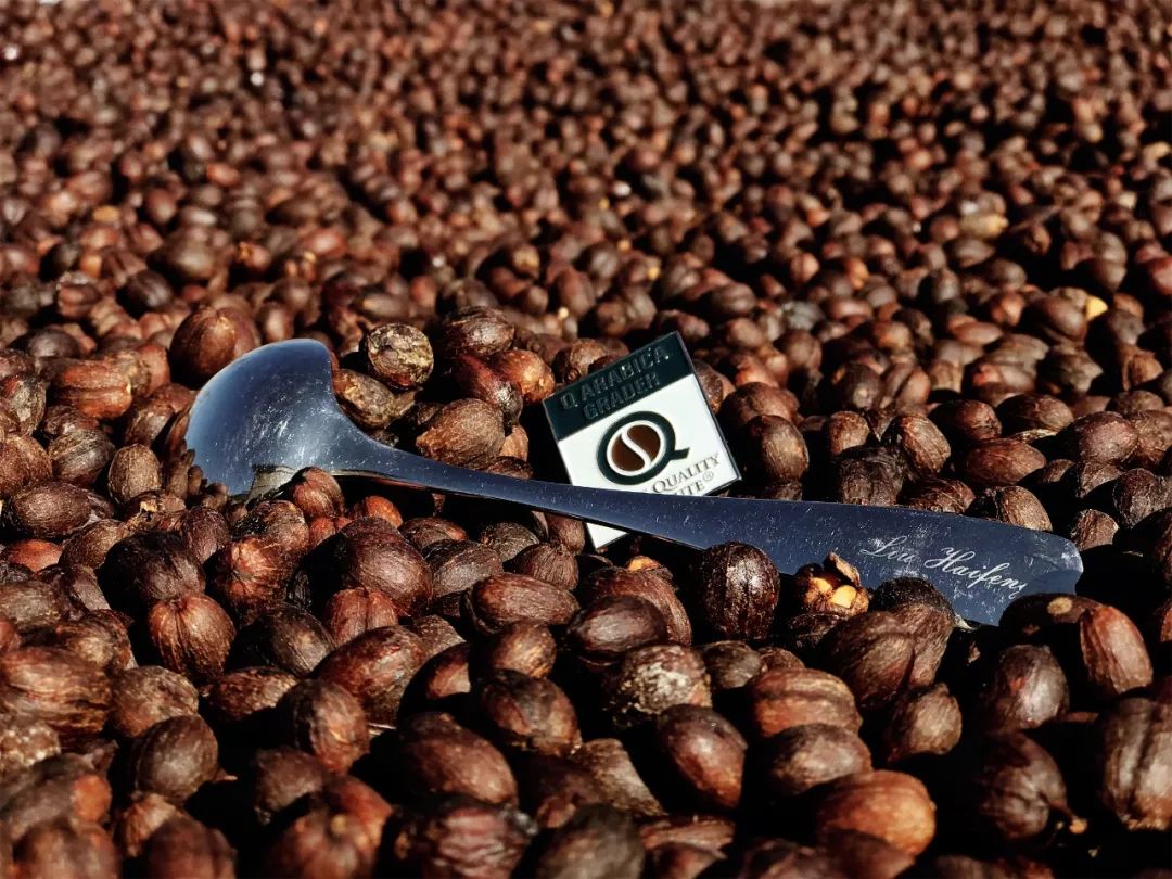 金达咖啡饮品批发市场,广州金达咖啡饮品城