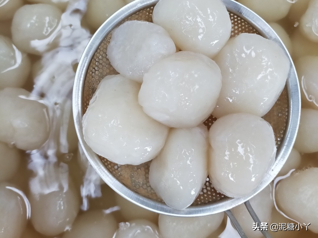 魔芋怎么生长最快,魔芋怎样长得快又大