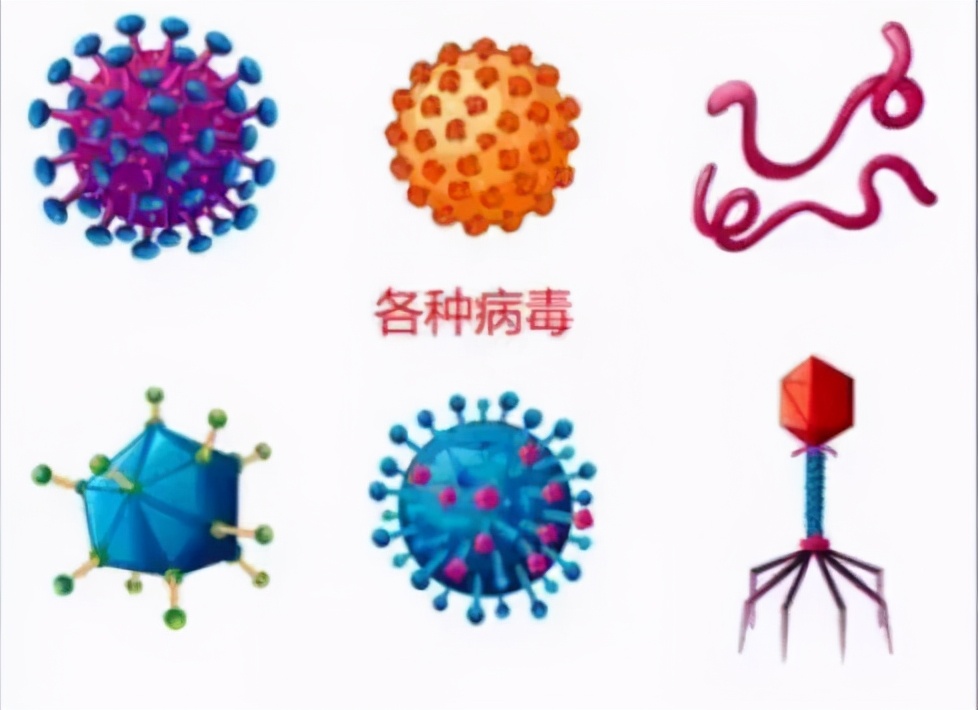 下一个可能攻克的癌症疫苗,德国抗癌疫苗最新消息何时临床