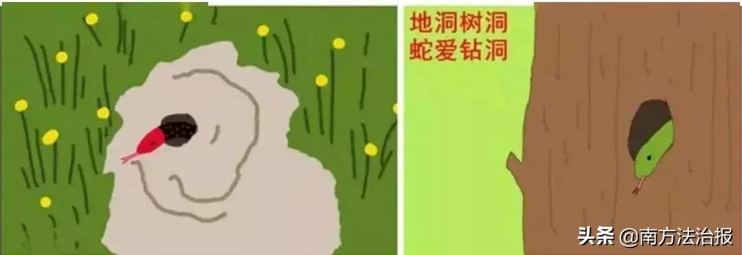 幼儿园里有可怕的怪物,幼儿园发现神秘怪物