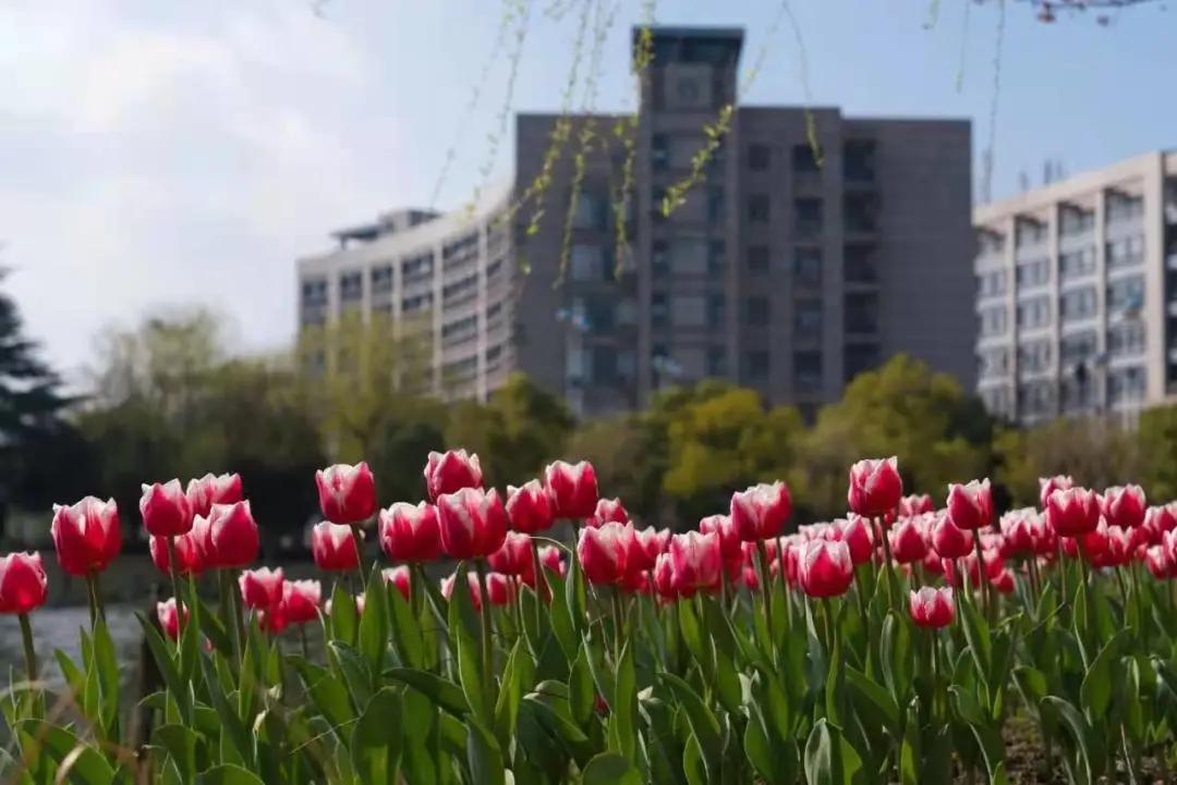杭州美职学校风景,杭州美丽学校评选