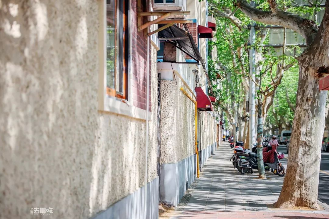 上海国庆免费景点推荐,上海值得去的免费景点旅游攻略