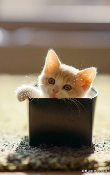 在家带娃呆着快郁闷了怎么办,在家带娃容易崩溃怎么办