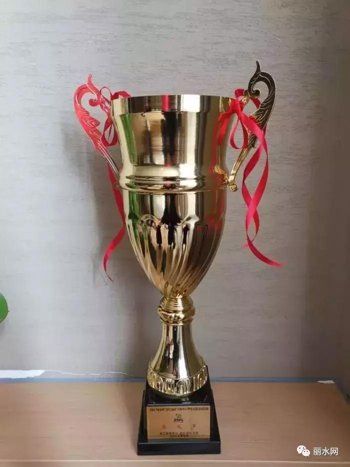 为丽水争光！丽水这个女子足球队摘得浙江冠军……