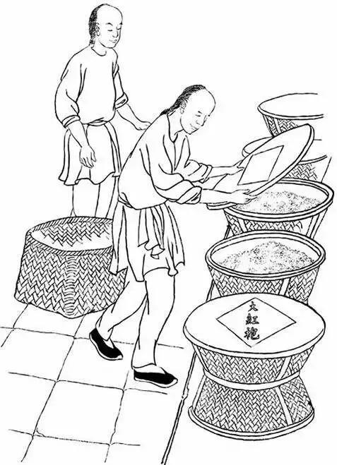 这份泡茶笔记值得收藏,武夷岩茶基本知识有哪些