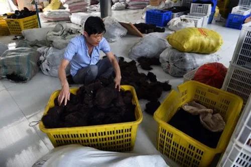 农村十大赚钱职业,农村最赚钱的4个行业