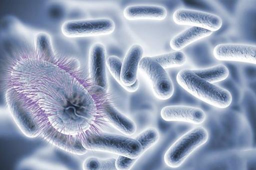 几十年前长虱子为啥现在没有了,为什么以前人长虱子现在没有虱子