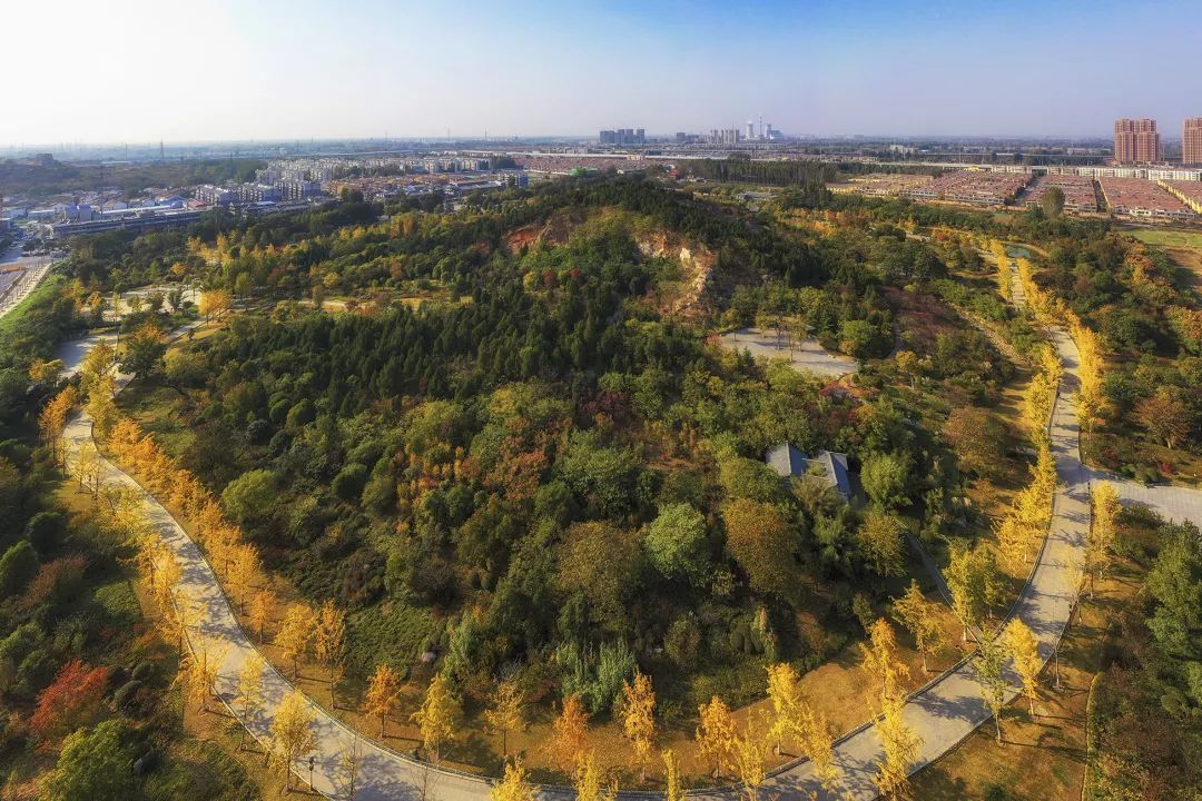 传奇徐州,无问南北