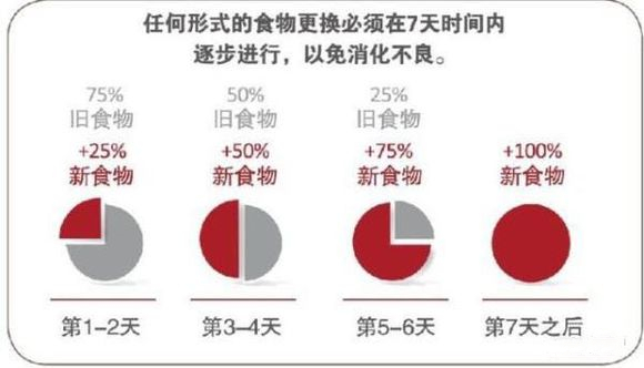 买猫怎样判断猫咪是否健康,养猫小知识怎样辨别小主人