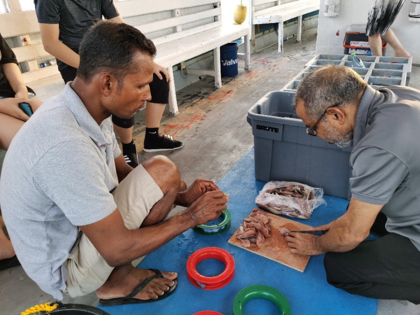 马累市区周边浮潜,马累本岛浮潜