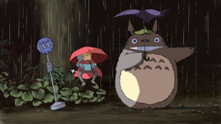 刚出来的龙猫怎么养,一个月小龙猫怎么饲养