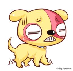 狗狗缺钙除了吃钙片还有什么办法,狗狗腿无力打什么针