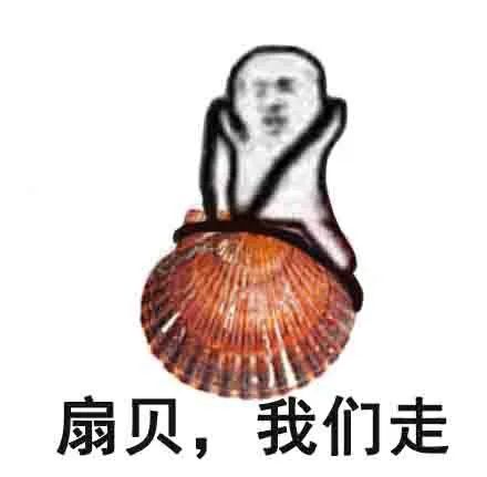 扇贝没了獐子岛,獐子岛扇贝逃跑科普