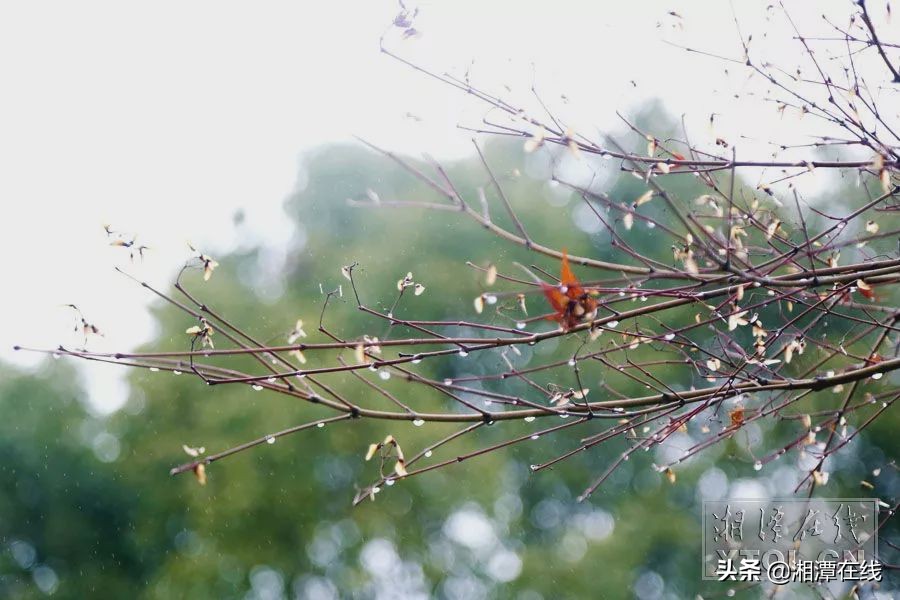 湖南湘潭过年去哪玩,春节期间去湘潭注意什么