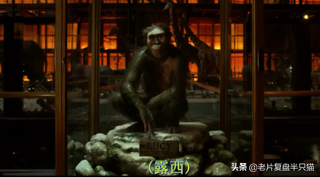 超体跟寡姐有关系吗,超体是寡姐演的吗