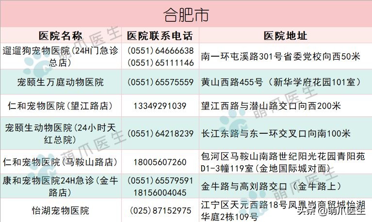 求良心靠谱的宠物医院,真正平民的宠物医院