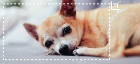 iSkysoftVideoConverterUltimate,全能视频格式转换器