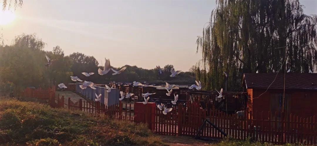 山东王屋湖国家湿地公园,山东最美湿地公园