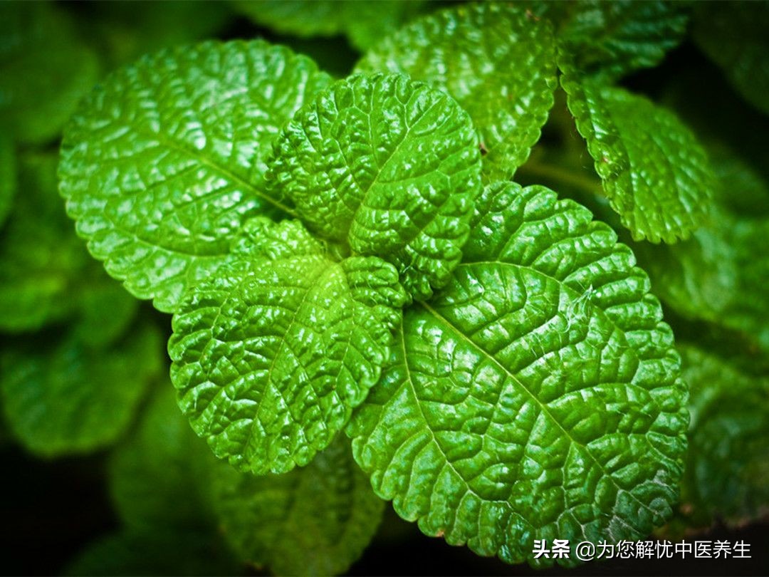 下肢畏寒是感觉神经出了问题,下肢怕冷畏寒怎么调理